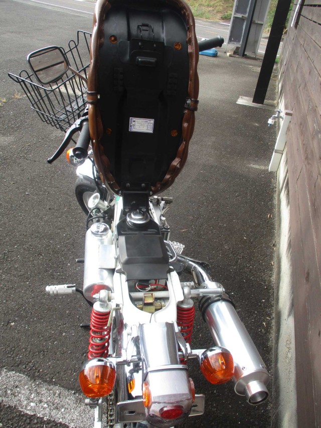 �z���_�_�b�N�X50�i���쌧���̌S���쒬�j�摜21