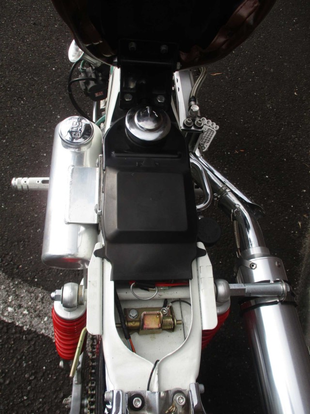�z���_�_�b�N�X50�i���쌧���̌S���쒬�j�摜22