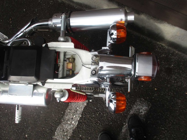 �z���_�_�b�N�X50�i���쌧���̌S���쒬�j�摜25