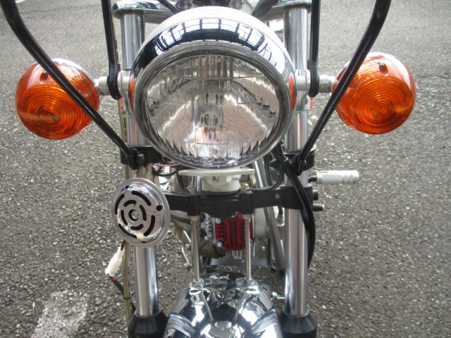 �z���_�_�b�N�X50�i���쌧���̌S���쒬�j�摜30