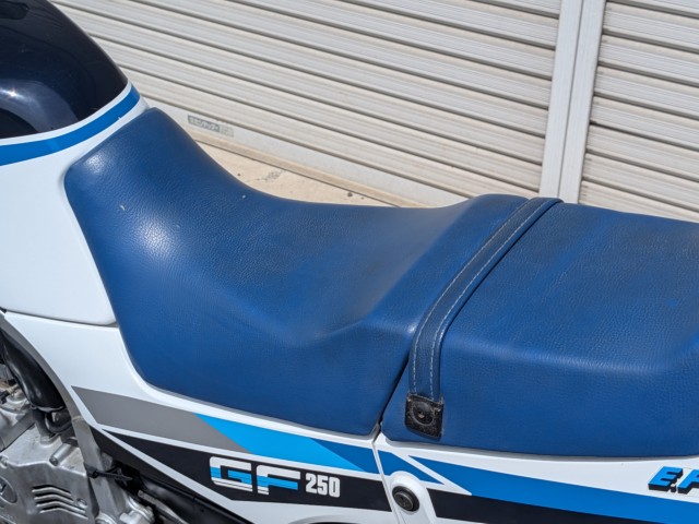 �X�Y�LGF250�i���쌧��o�s�j�摜23