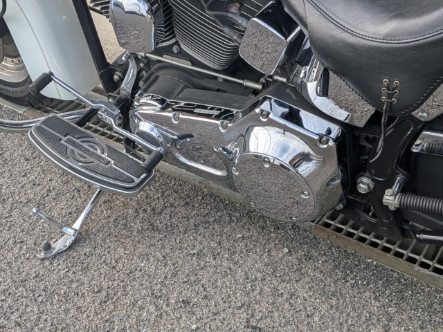 �n�[���[�n�[���[�_�r�b�h�\��FLSTF �t�@�b�g�{�[�C�i���쌧��o�s�j�摜19