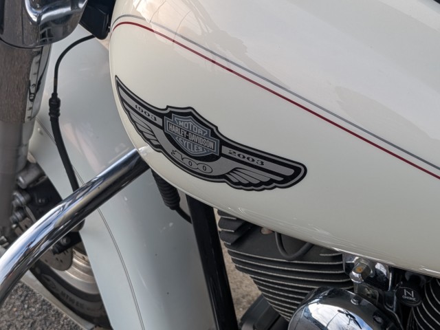 �n�[���[�n�[���[�_�r�b�h�\��FLSTF �t�@�b�g�{�[�C�i���쌧��o�s�j�摜20