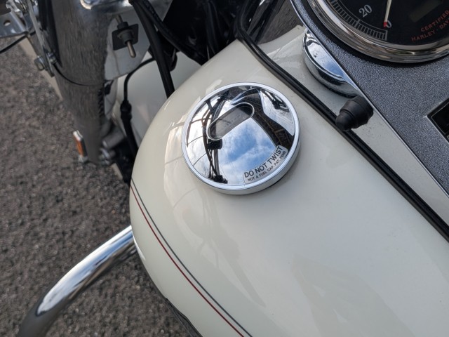 �n�[���[�n�[���[�_�r�b�h�\��FLSTF �t�@�b�g�{�[�C�i���쌧��o�s�j�摜25