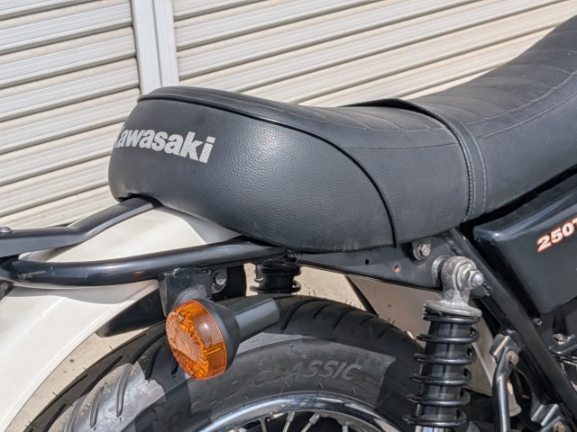 �J���T�L250TR�i���쌧��o�s�j�摜6