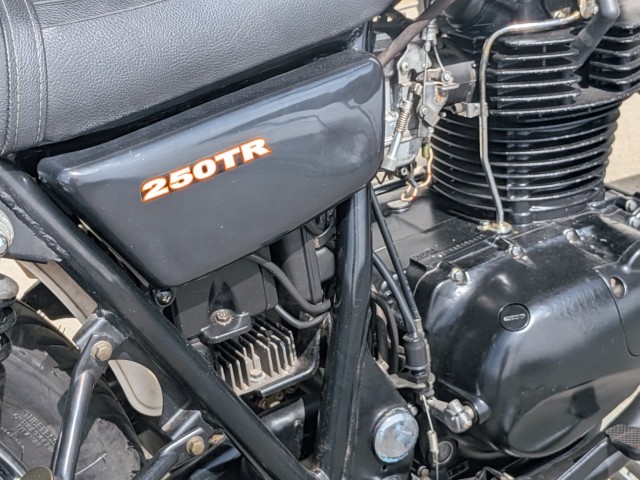 �J���T�L250TR�i���쌧��o�s�j�摜7