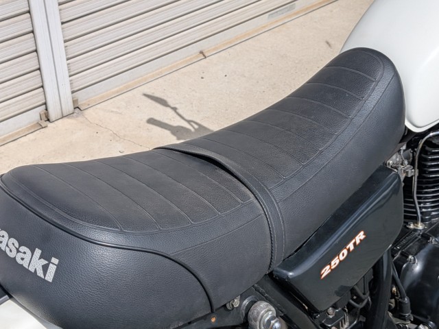 �J���T�L250TR�i���쌧��o�s�j�摜9