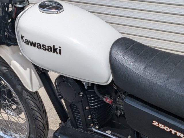 �J���T�L250TR�i���쌧��o�s�j�摜24