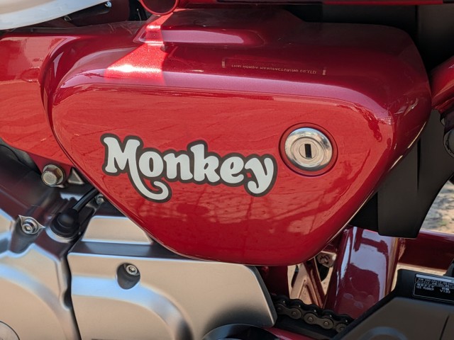 �z���_�����L�[125�i���쌧�����s�j�摜28