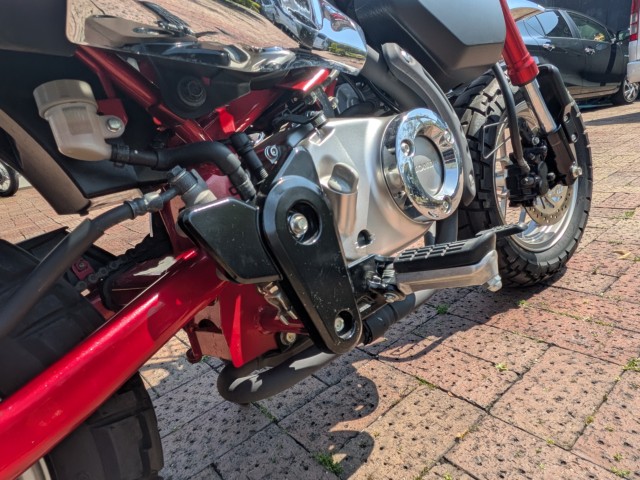 �z���_�����L�[125�i���쌧�����s�j�摜44