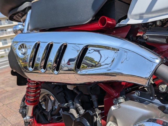 �z���_�����L�[125�i���쌧�����s�j�摜50