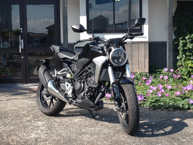 z_CB250Ri쌧̌SFÒj摜2