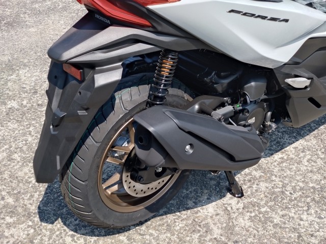 �z���_�t�H���c�@�i���쌧���̌S�F���Ò��j�摜6
