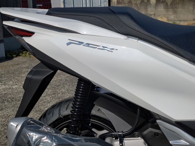 �z���_PCX�i���쌧���̌S�F���Ò��j�摜9