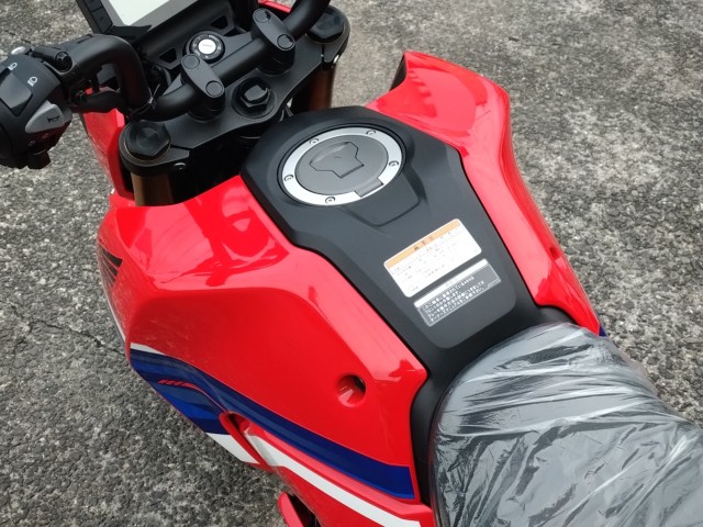 �z���_�O�����i���쌧���̌S�F���Ò��j�摜11