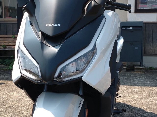 �z���_�t�H���c�@�i���쌧���̌S�F���Ò��j�摜16