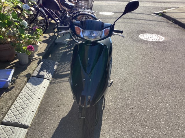 �z���_�f�B�I�i���Q�����R�s�j�摜6