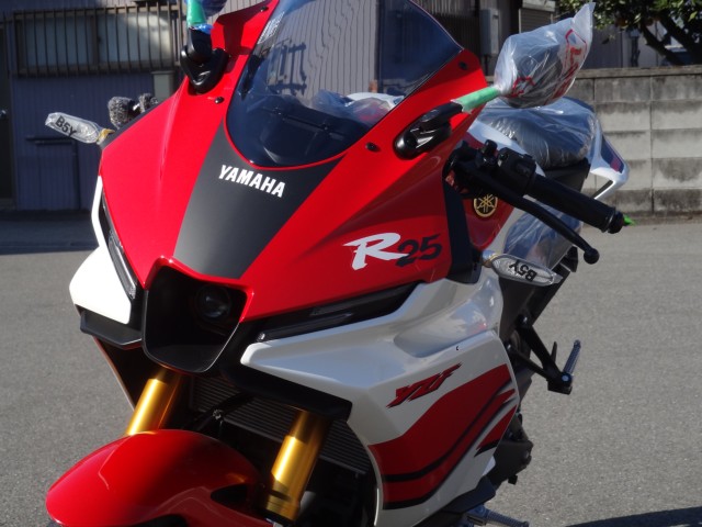 ���}�nYZF-R25�i�����������s�j�摜5