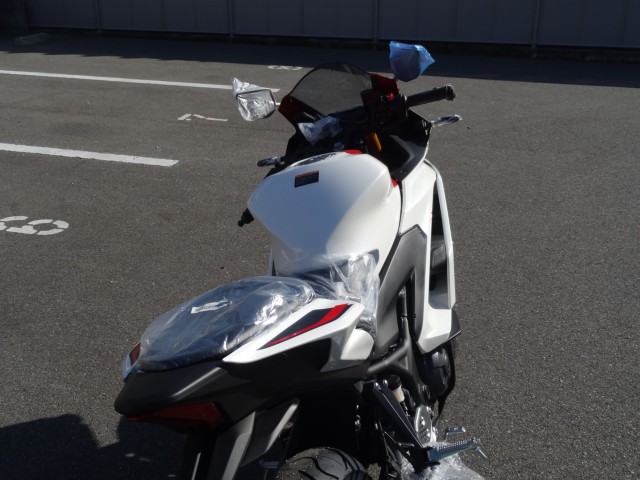 ���}�nYZF-R25�i�����������s�j�摜7