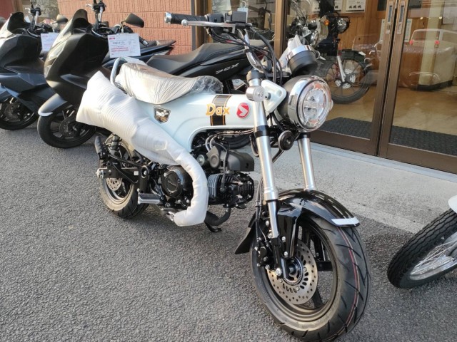 �z���_�_�b�N�X125�i���Q�����R�s�j�摜2