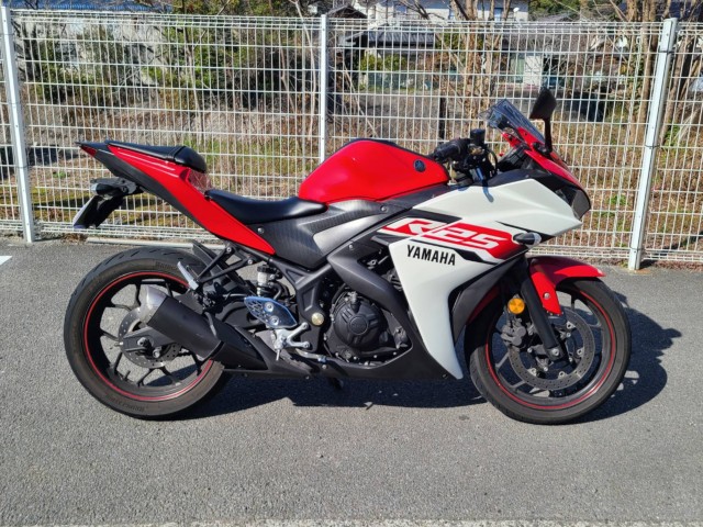 ���}�nYZF-R25�i���Q�����R�s�j�摜1