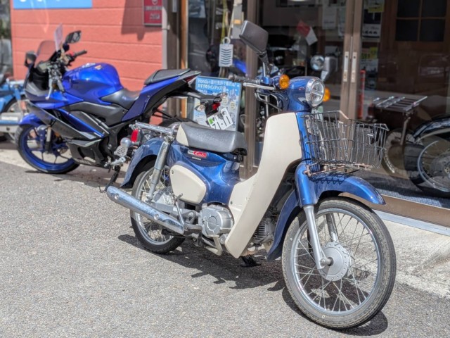 �z���_�X�[�p�[�J�u50�iAA09�j�i���Q�����R�s�j�摜1