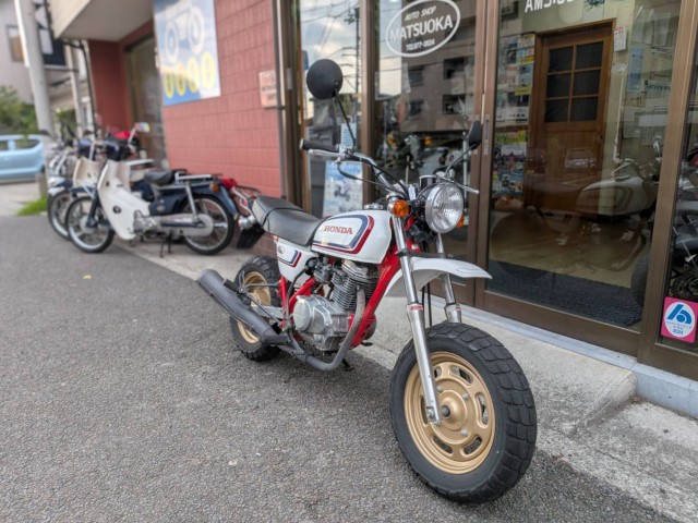 �z���_�G�C�v100�i���Q�����R�s�j�摜1