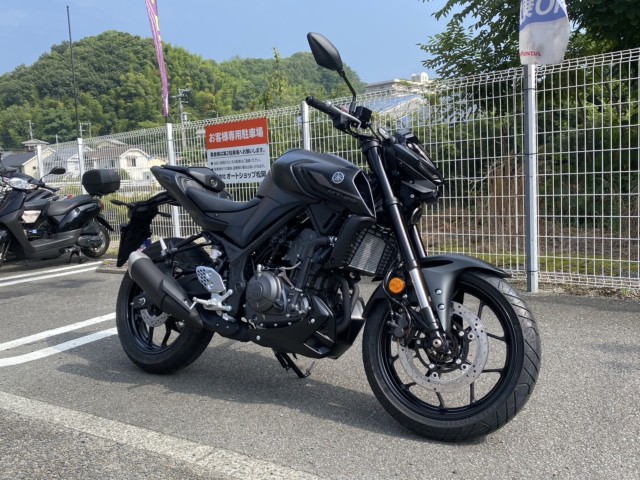 }nMT-25iQRsj摜2