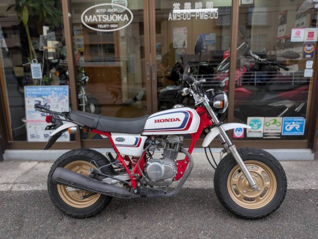 �z���_�G�C�v100�i���Q�����R�s�j�摜2