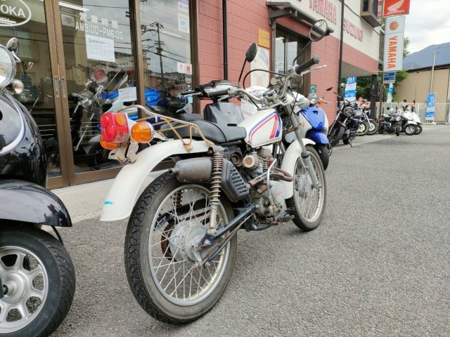 z_TL50iQRsj摜3
