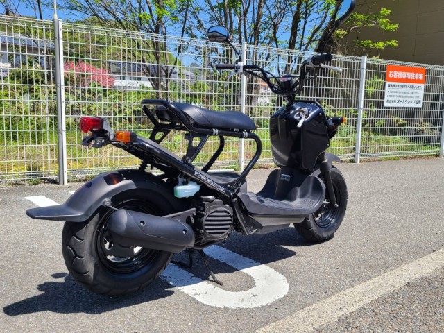 �z���_�Y�[�}�[�i���Q�����R�s�j�摜3