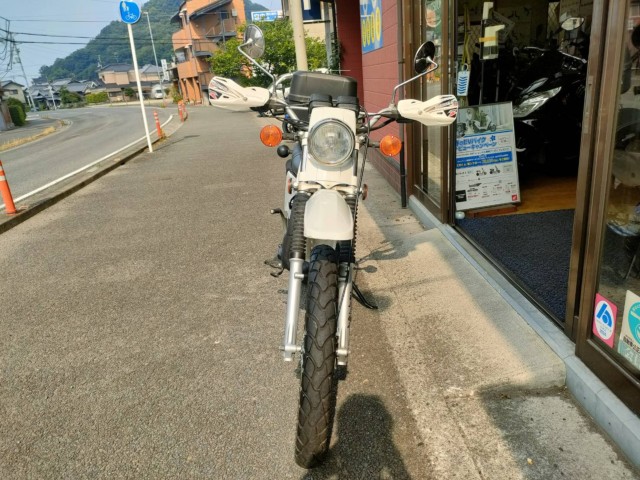 XYLTS185ERiQRsj摜4