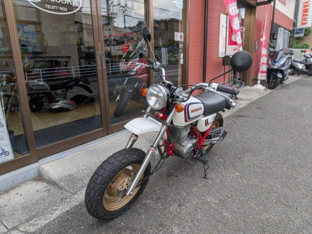 �z���_�G�C�v100�i���Q�����R�s�j�摜4
