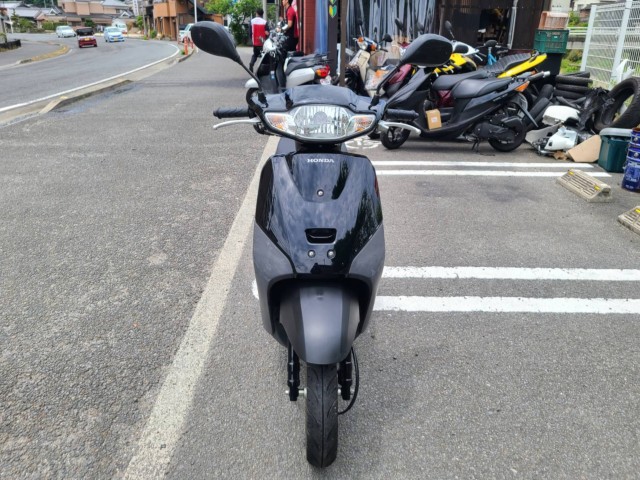 �z���_�^�N�g�E�x�[�V�b�N�i���Q�����R�s�j�摜5