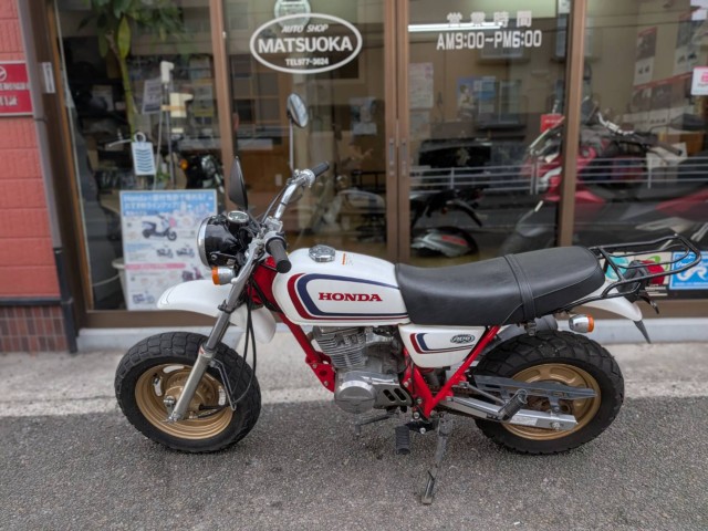 �z���_�G�C�v100�i���Q�����R�s�j�摜5