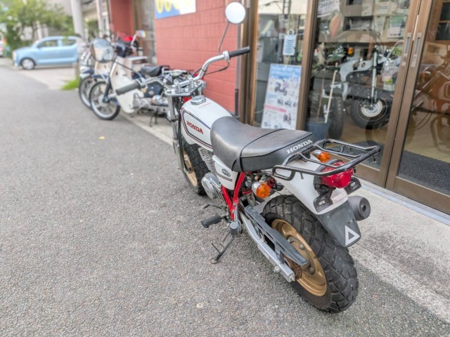 �z���_�G�C�v100�i���Q�����R�s�j�摜6