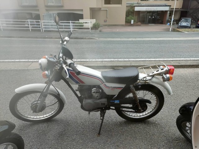 z_TL50iQRsj摜7