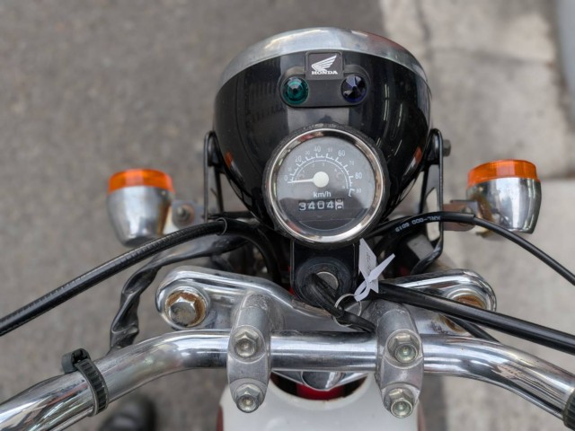 �z���_�G�C�v100�i���Q�����R�s�j�摜7