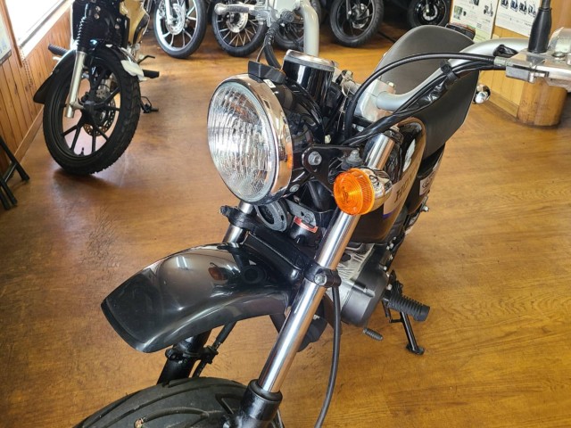 �z���_�G�C�v50 �^�C�vD�i���Q�����R�s�j�摜9