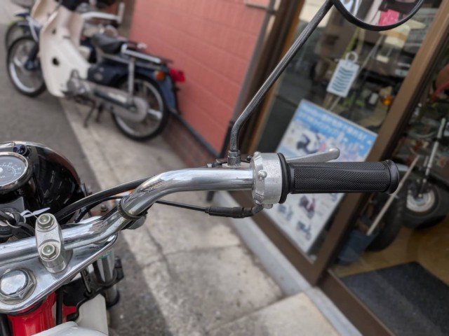 �z���_�G�C�v100�i���Q�����R�s�j�摜9