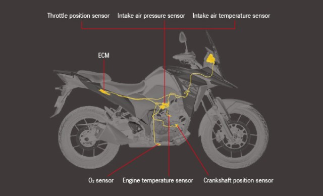 �X�Y�LV�X�g���[��250SX�i���Q�����R�s�j�摜10