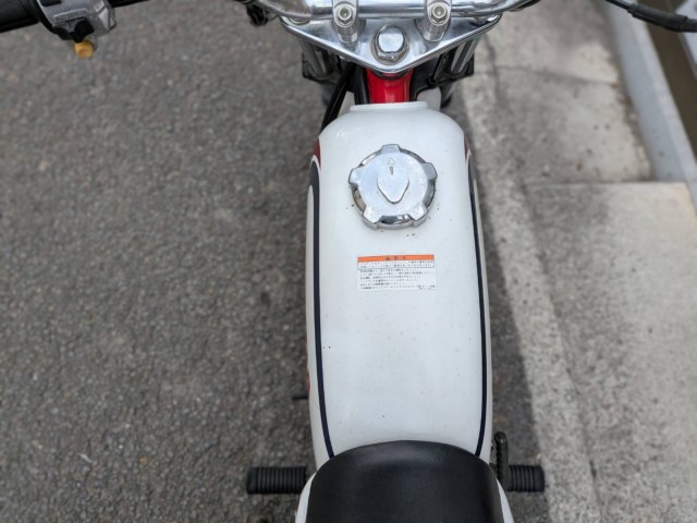 �z���_�G�C�v100�i���Q�����R�s�j�摜10