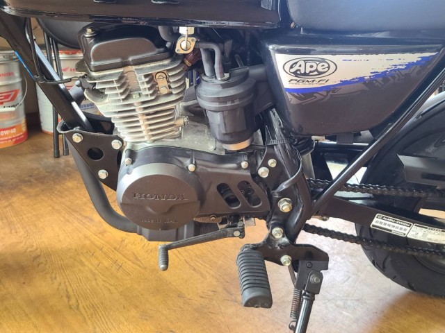 �z���_�G�C�v50 �^�C�vD�i���Q�����R�s�j�摜11