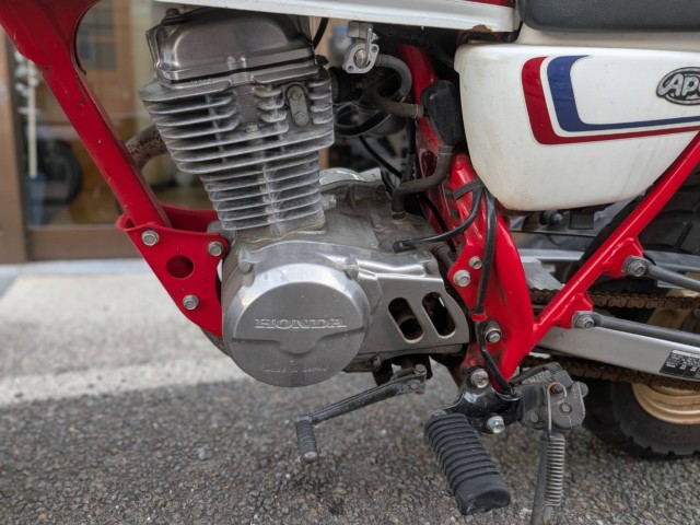 �z���_�G�C�v100�i���Q�����R�s�j�摜20