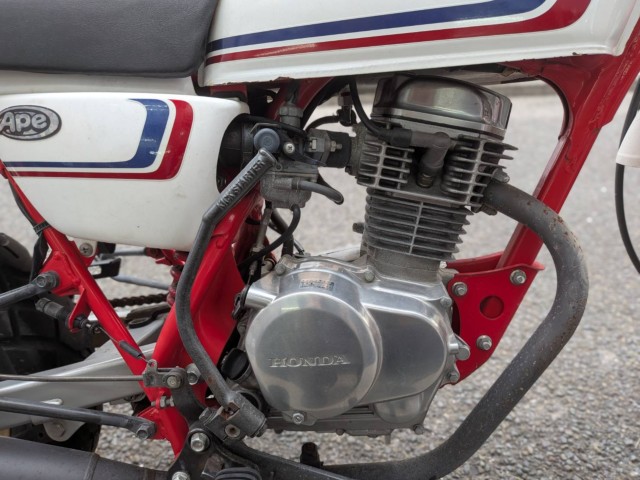 �z���_�G�C�v100�i���Q�����R�s�j�摜19
