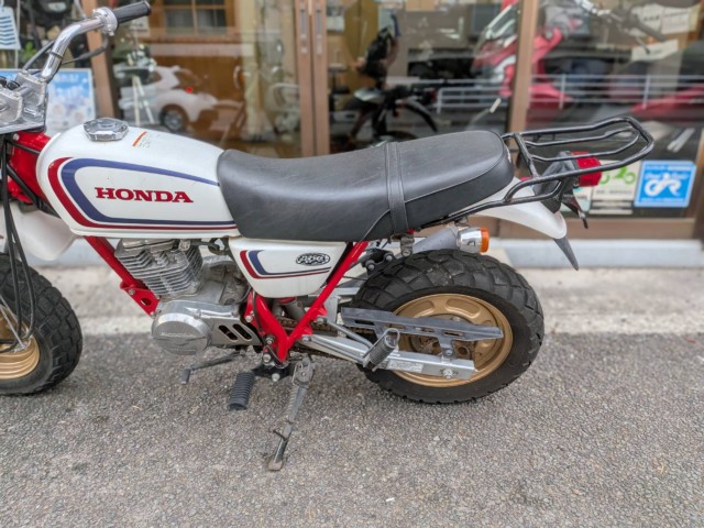 �z���_�G�C�v100�i���Q�����R�s�j�摜18