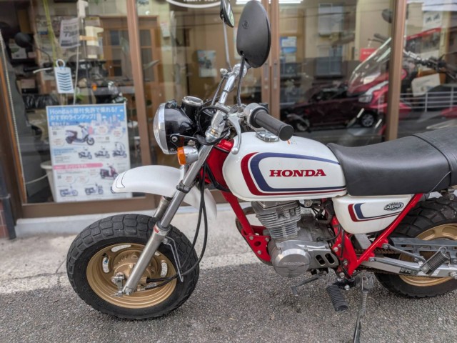 �z���_�G�C�v100�i���Q�����R�s�j�摜17