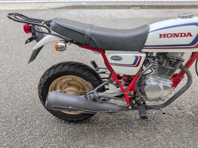 �z���_�G�C�v100�i���Q�����R�s�j�摜16