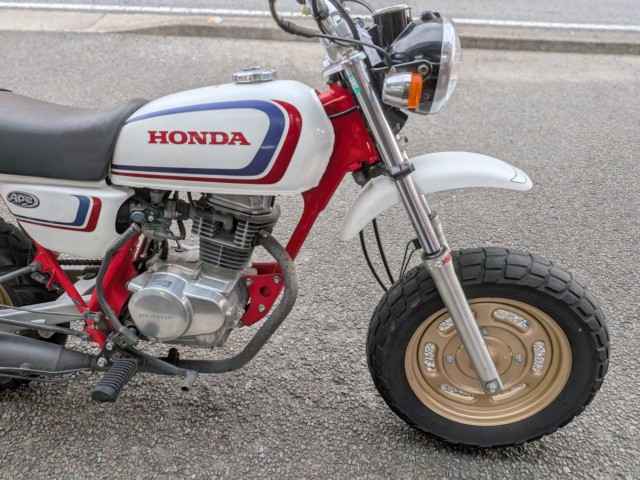 �z���_�G�C�v100�i���Q�����R�s�j�摜15