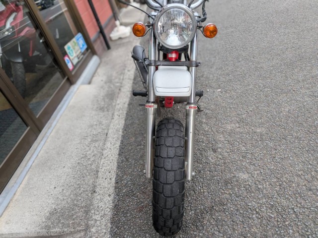 �z���_�G�C�v100�i���Q�����R�s�j�摜14